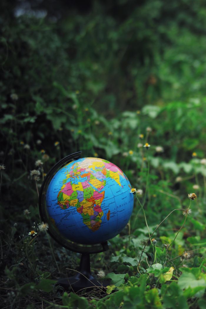 services-01 Small Earth globe toy placed on green grass in nature against blurred background in daytime