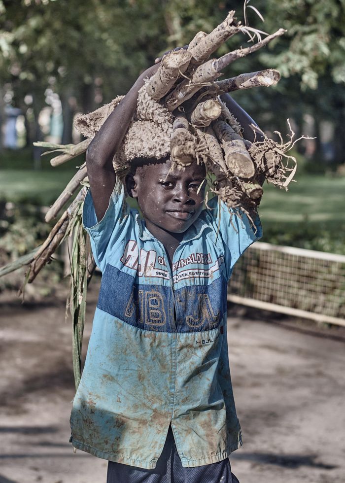 about-02 A young boy carrying firewood bundles outdoors, showcasing daily life and resilience.